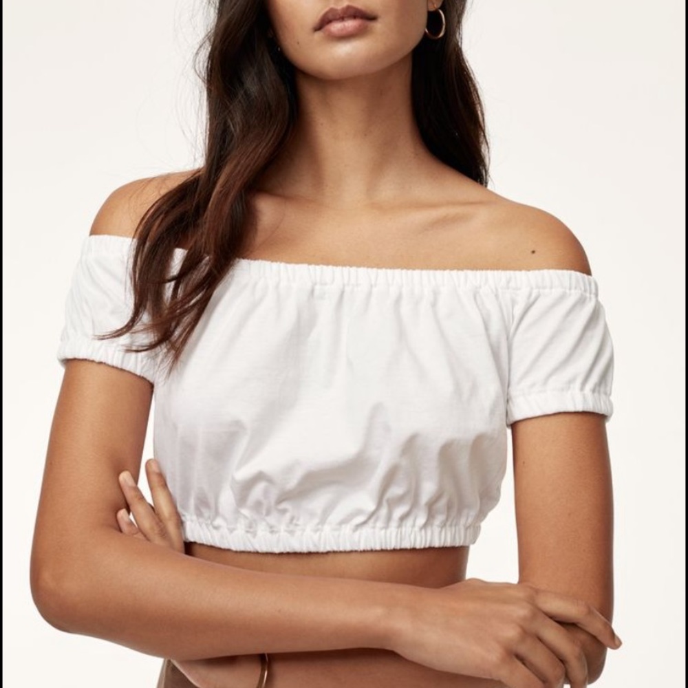 Aritzia adelisa t shirt